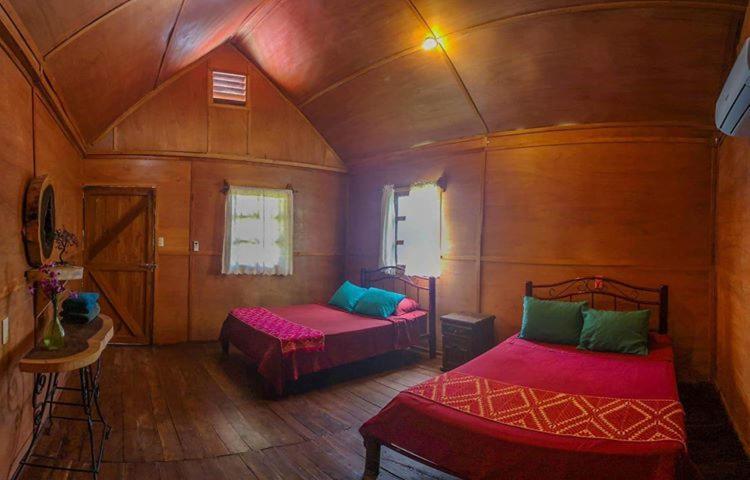 Green Monkey Hostel Bacalar Eksteriør billede