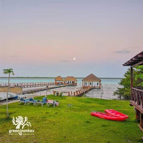 Green Monkey Hostel Bacalar Eksteriør billede