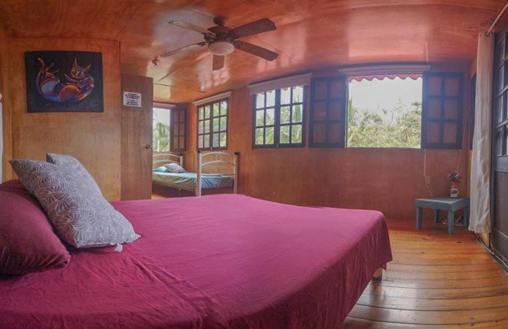 Green Monkey Hostel Bacalar Eksteriør billede